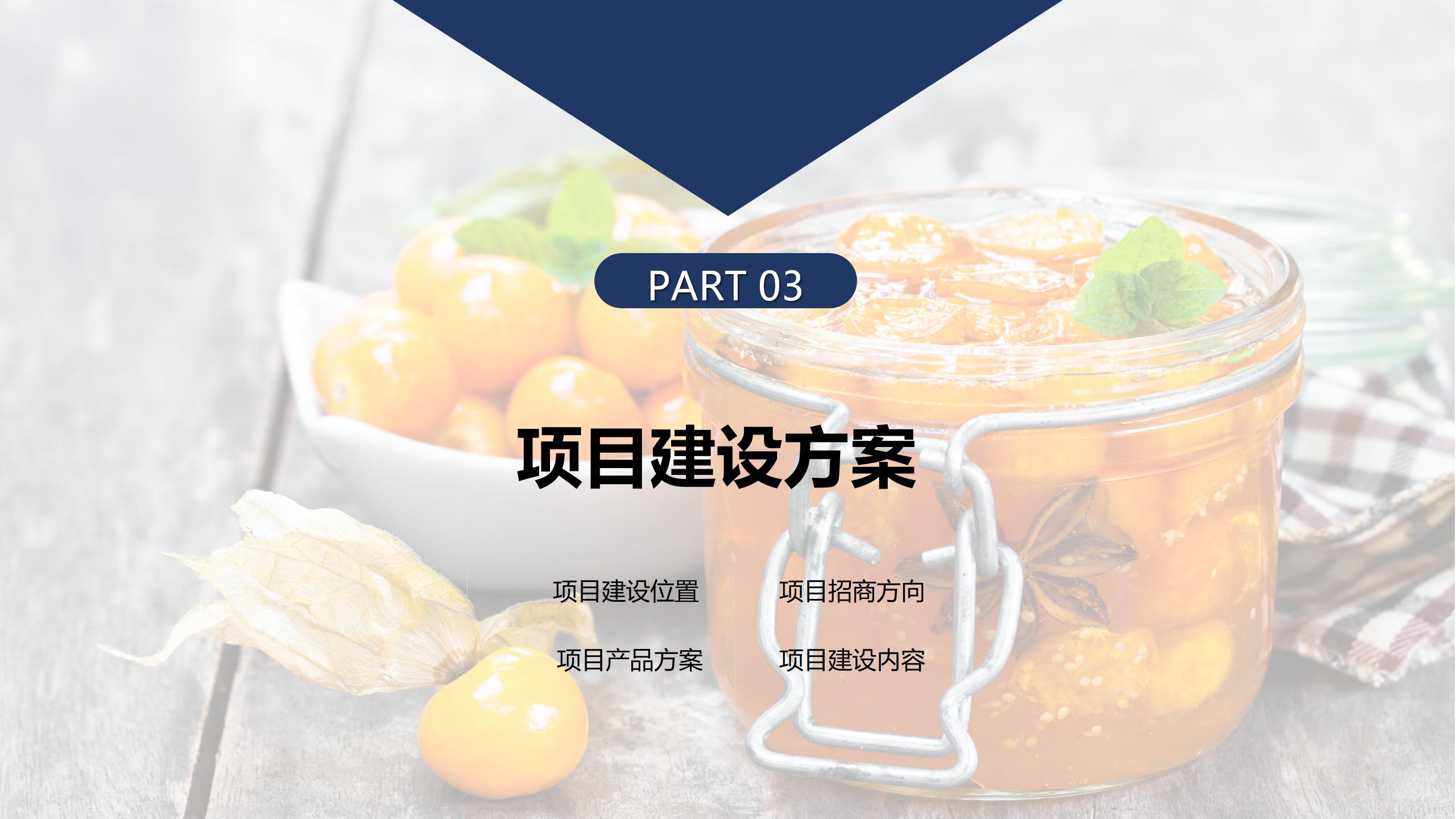 贵阳市观山湖区金栗食品产业园PPT.（20250214）pptx_10.jpg