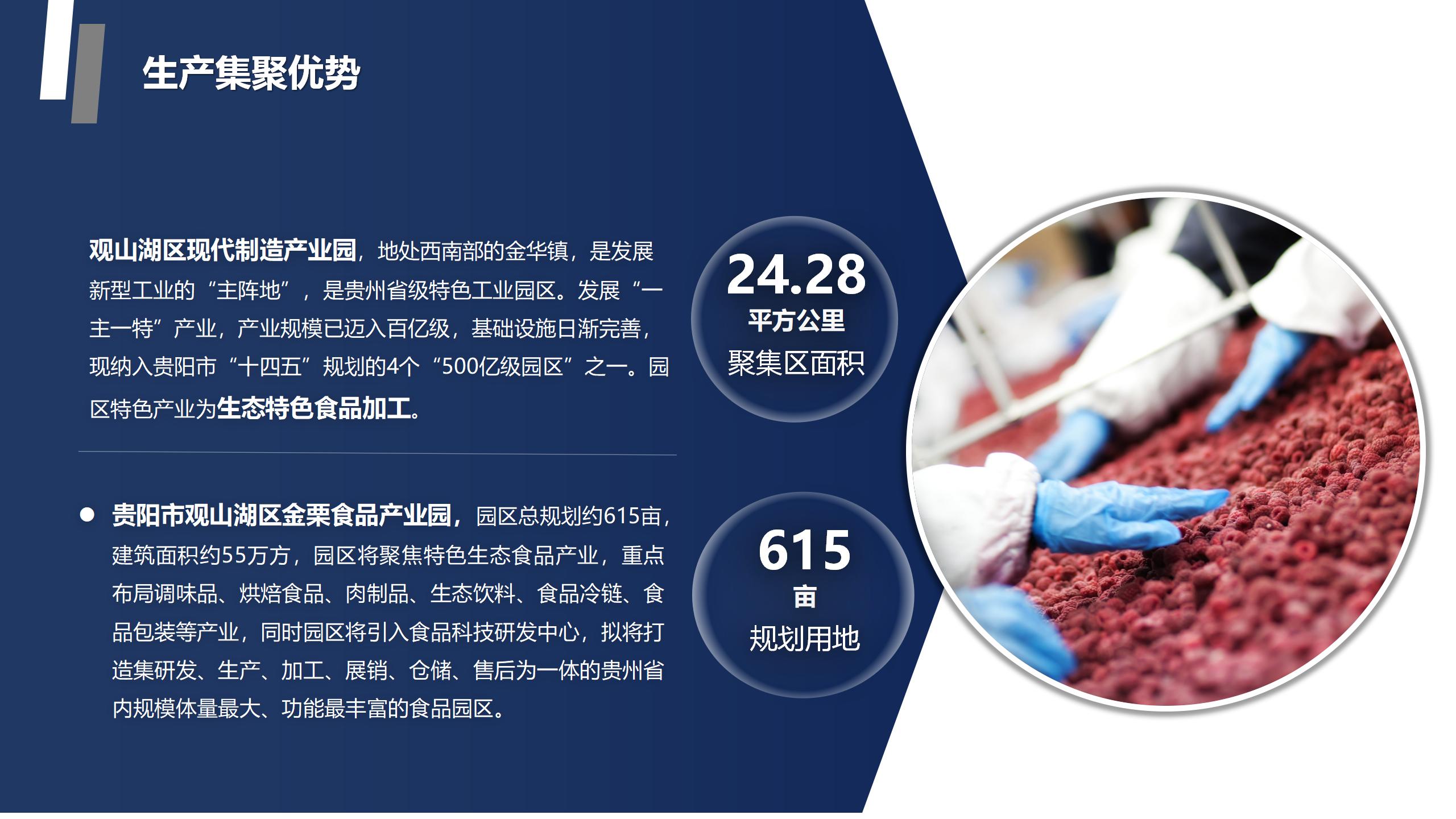 贵阳市观山湖区金栗食品产业园PPT.（20250214）pptx_08.jpg