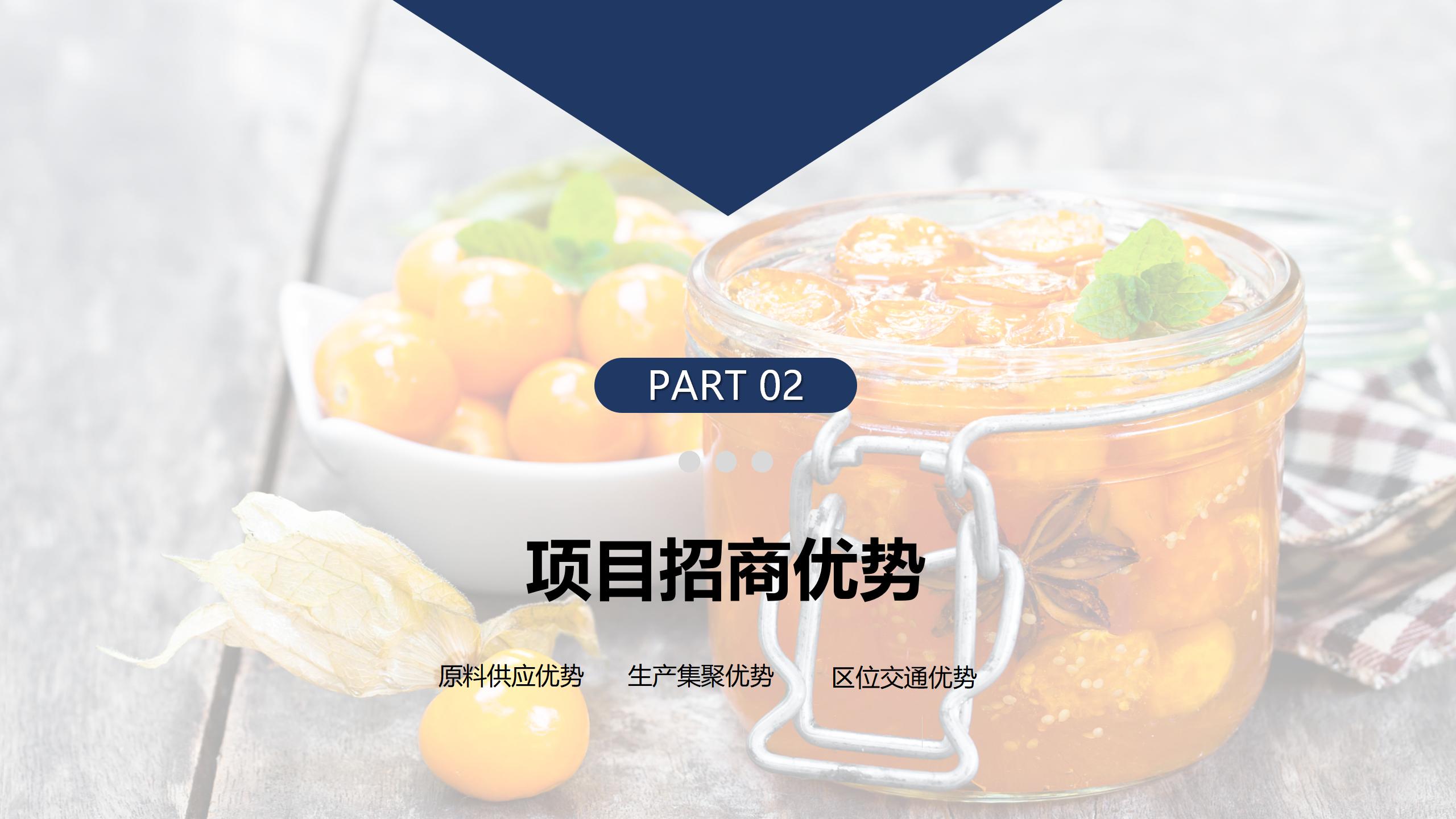贵阳市观山湖区金栗食品产业园PPT.（20250214）pptx_06.jpg