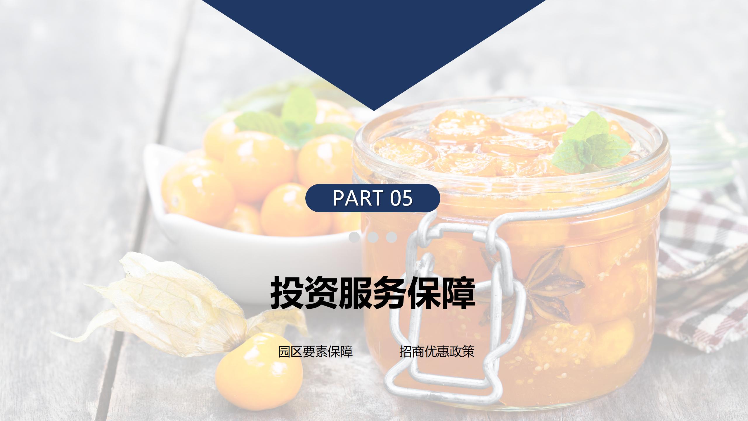贵阳市观山湖区金栗食品产业园PPT.（20250214）pptx_16.jpg