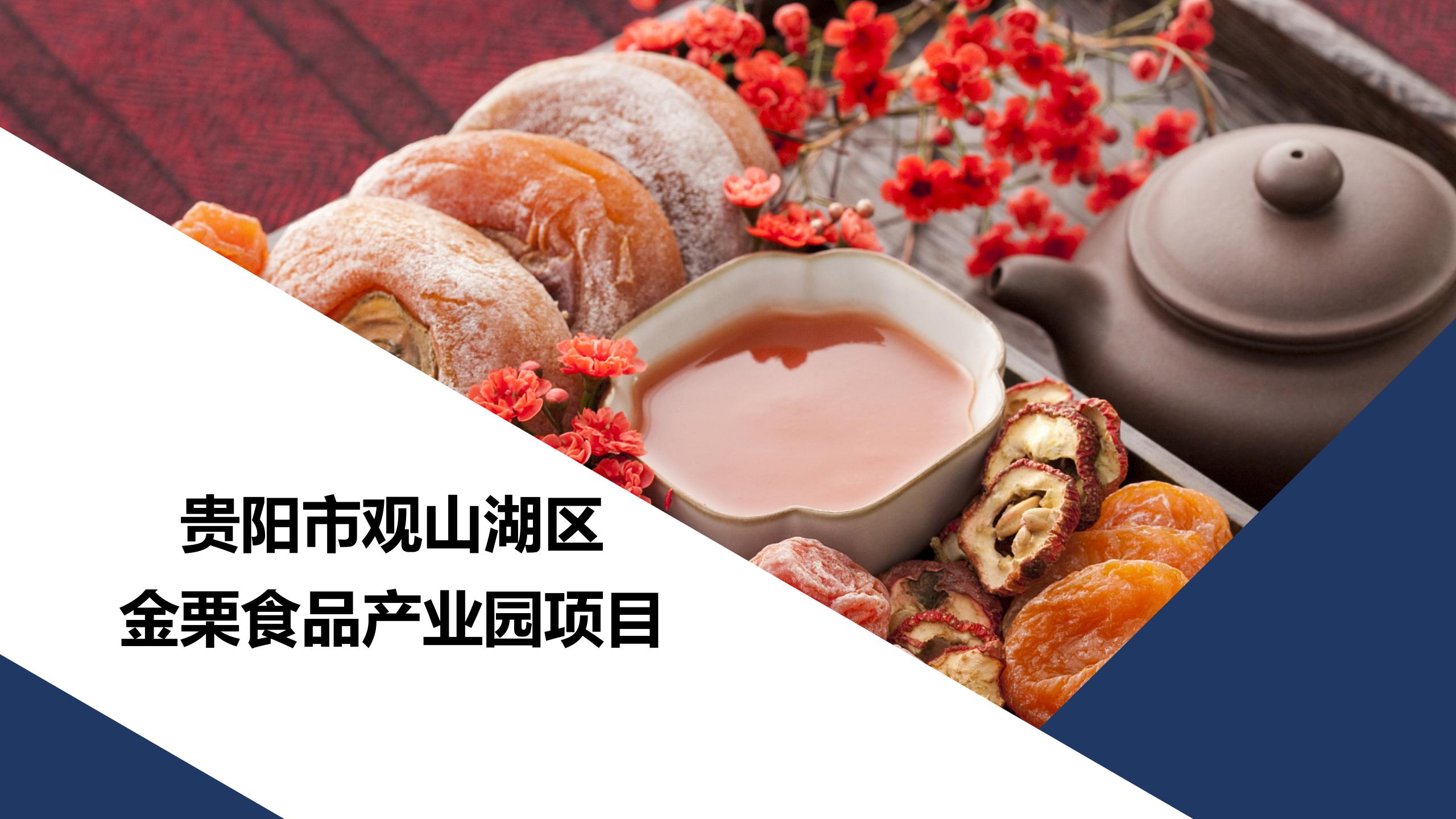 贵阳市观山湖区金栗食品产业园PPT.（20250214）pptx_01.jpg