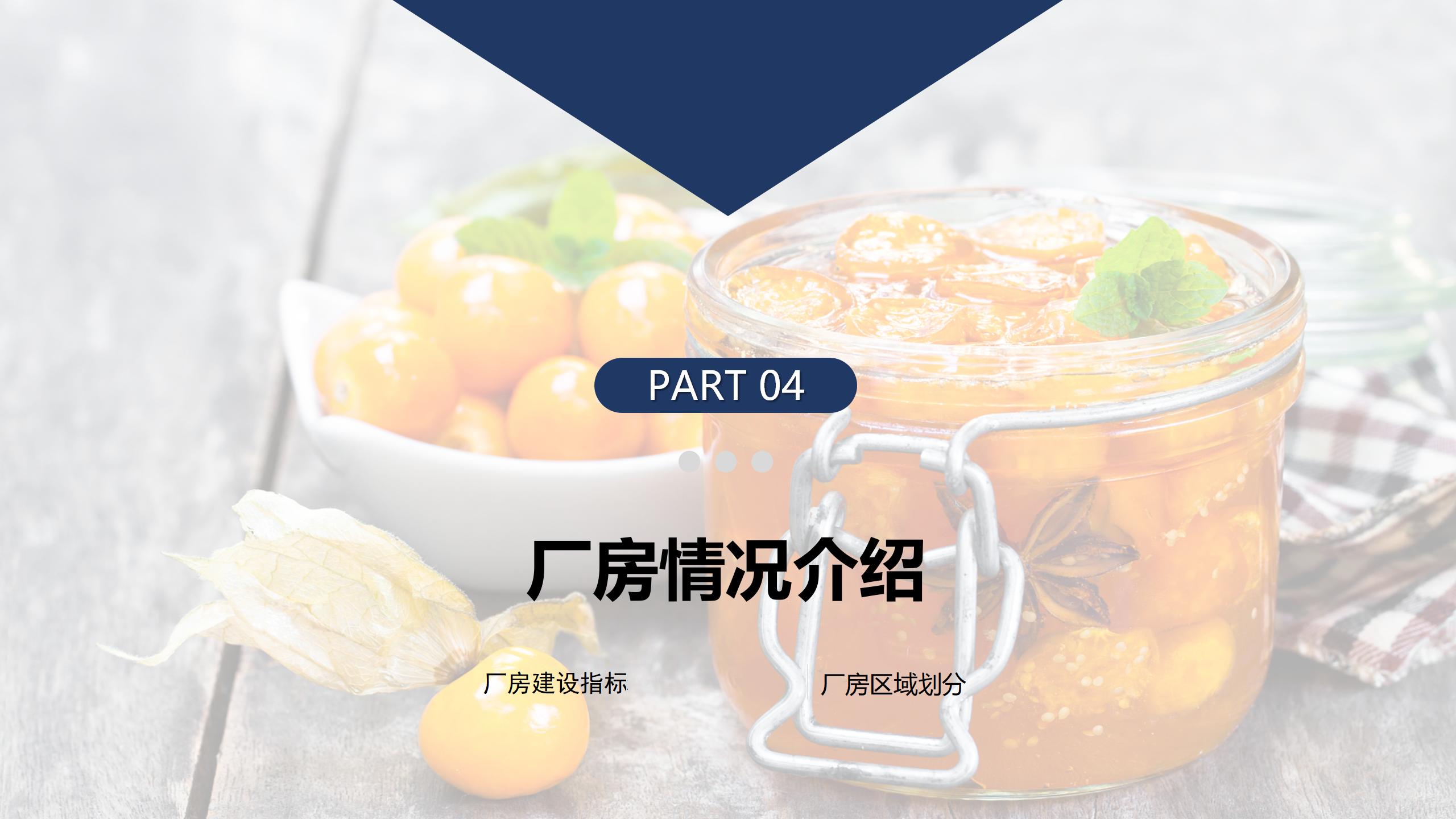 贵阳市观山湖区金栗食品产业园PPT.（20250214）pptx_13.jpg